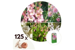 ZomerbloembollenRoze-mixvan125bollen