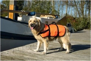 BeezteesVeiligheidsvestZwemvest-Hond-L-23-41Kg