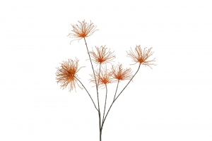 KunstbloemGrevilleaMlichtbruinCountryfield-Countryfield