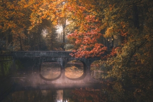 Tuinschilderijweerspiegeling70x50Customize-it-Customizeit