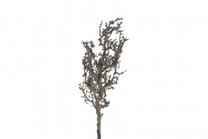 KunsttaklicheneszwartCountryfield-Countryfield