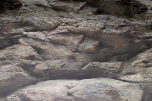 DecoPosterB4120X49CmaquariaSuperfish-Superfish