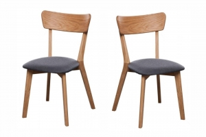 Setvan2eetkamerstoelenDianaHouseofWoods