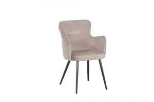 EetkamerstoelWingvelvetPoletoPole