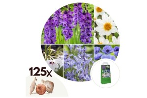 ZomerbloembollenBlauw-mixvan125bollen