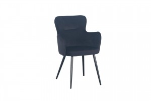 EetkamerstoelWingvelvetPoletoPole