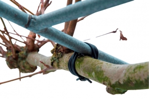 Bindbuiszwartdia3mmx50mNature-Nature