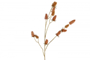 Carduuszijdel94b9h2cmgeelCountryfield-Countryfield