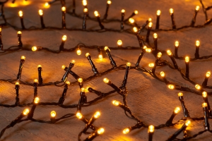 LedClassicIvy2000L42M-5MmConcaveLed-4MtrkerstverlichtingAnnasCollection-Annascollection