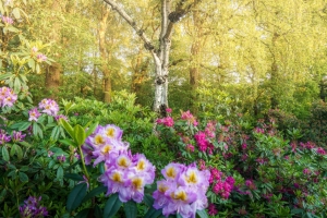 Tuinschilderijbloemenbos130x70cmCustomize-it-Customizeit