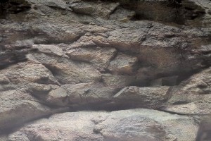 DecoPosterB5120X61CmaquariaSuperfish-Superfish