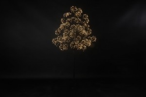 KerstboomLEDDorionLzwartCountryfield-Countryfield