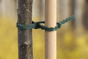 Universelebindbandmetrattenstaartslutinggroen35cmseta12stuks-Nature