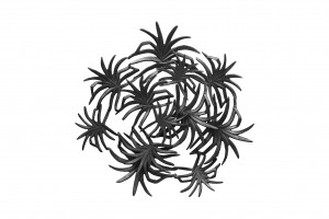 WanddecoratieDomizilUnderbar