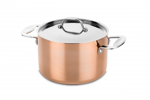 PotCm20WithLidToscanawithlid