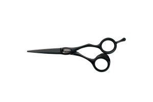 JoewellFXProBlack55inch