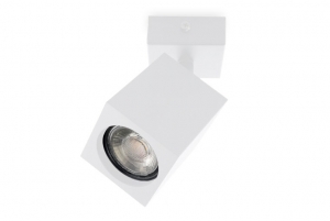 PlafondspotVierkantRichtbaarGU10FittingMatWit