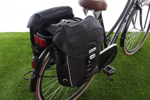 DubbelefietstasMilesDoublebag32LBlacklime