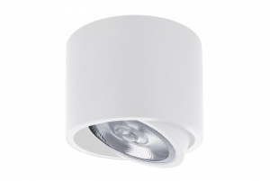 OpbouwspotRondAR111KantelbaarGU10FittingMatWit