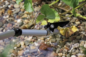Flexicut2in1-Oase