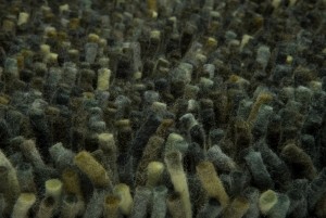 BrinkCampman-RocksPineForest70547-200X300cm