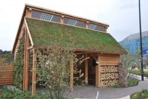 DakgroenSedummixmatTCompleetincldrainagetype11c3zakkendaktuinsubstraatper12m2max45gradenSempergreen-Sempergreen