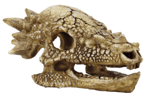 Superfishskulltrexm-Superfish