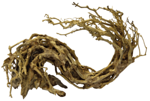 BonsaiWaveLargeaquaria-Superfish