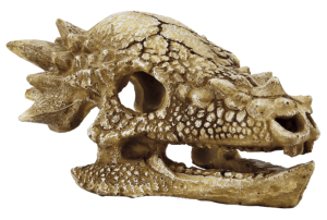 SkullTRexMaquariaSuperfish-Superfish