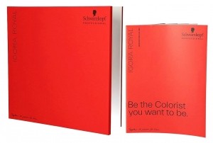 SchwarzkopfIgoraRoyalKleurkaartlaatstestuks