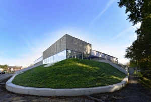 PlantenmatvasteplantenmaagdenpalmVincaAtropurpureaprijsper1m2cmCovergreen-Covergreen