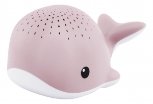 ZazuWallyRozeMuzikaleBabyprojector