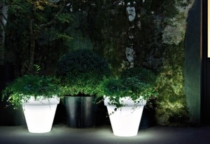 SerralungaBordatoLiscio58WitVerlicht