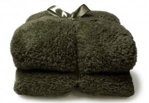 Plaidteddyl200b150cmwintergroen-Uniqueliving