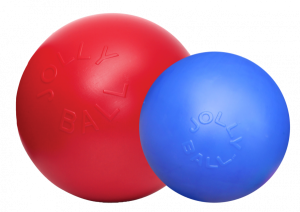 JollyBallPush-n-Play25cmrood