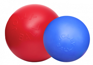 JollyBallPush-n-Play25cmrood