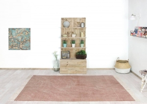 SteigerhoutproductdisplayNewark