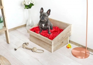 HondenmandsteigerhoutSammy