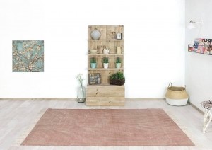 SteigerhoutproductdisplayNewark