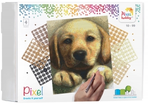 Pixelhobbyset-4platen-goldenretriever
