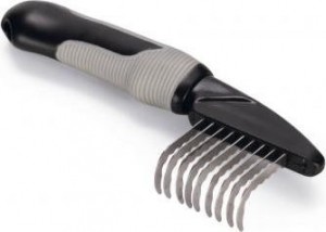 BZKLITTENKAMGROFHONDZWTGRS19