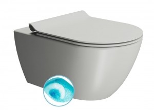 SaphoPurahangendtoiletmetswirlflushcement