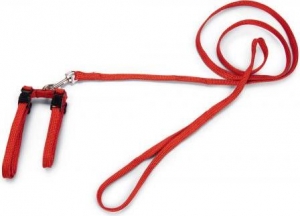 Beeztees-Kattentuigje-Nylon-Rood-130cmx10mm