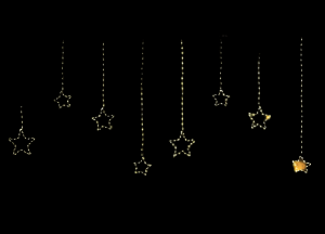 WireStar-Curtain738L400X80cmLedClassicWarm20StringskerstverlichtingAnnasCollection-Annascollection