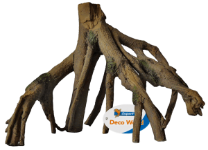 Superfishmangrovewortels-Superfish