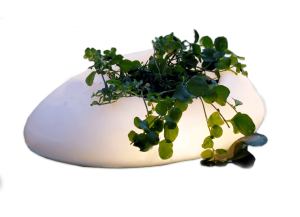 FloatingPondLightVelda-Velda