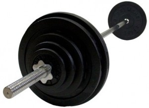 VirtuFitHaltersetGietijzer200kg