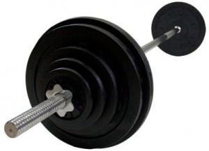 VirtuFitHaltersetGietijzer200kg