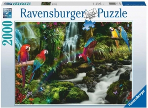 BontePapegaaienInDeJunglePuzzel2000stukjes