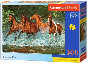 CascadeRunPuzzel300stukjes